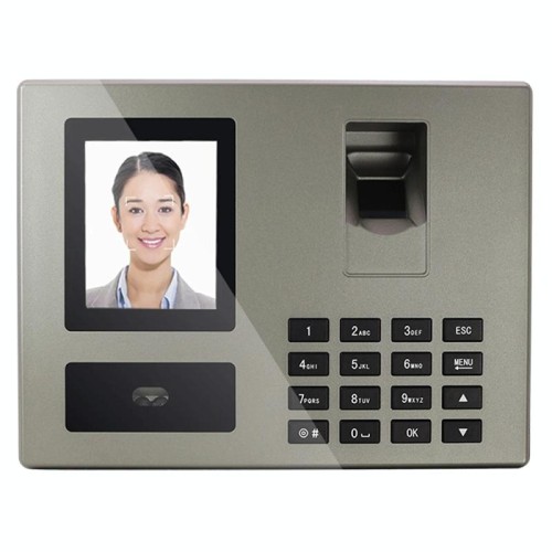 FA03 Macchina per la presenza di impronte digitali con riconoscimento vocale intelligente (inglese con spina europea)