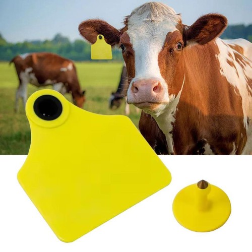 Etichette auricolari elettroniche RFID Smart Chip UHF per animali, suini, bovini, ovini, dimensioni: 75 x 100 mm
