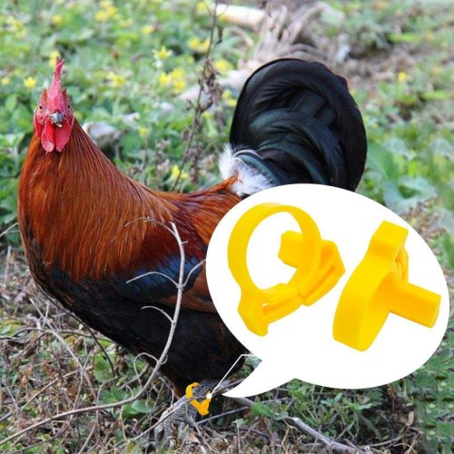 Etichette per fascette fermacavo RFID LF per animali con anello per zampe di pollame con chip TK4100, dimensioni: 33 x 23 x 0,8 mm