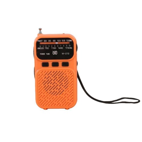 Radio portatile a clip W-213 FM/AM con puntatore a doppia alimentazione e torcia (blu)