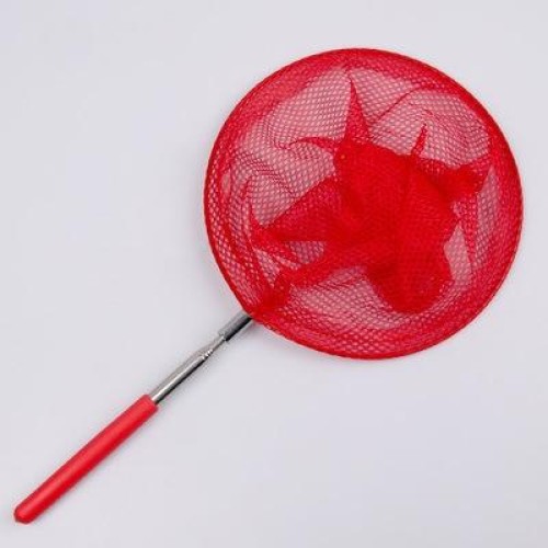 Rete telescopica in acciaio inox per bambini per catturare pesci e insetti (colore casuale, consegna a domicilio)
