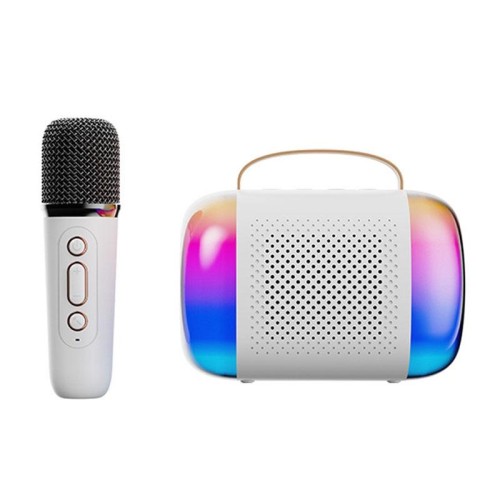 Y5 1 Microfono Altoparlante Bluetooth portatile Audio karaoke wireless per casa ed esterno (nero)