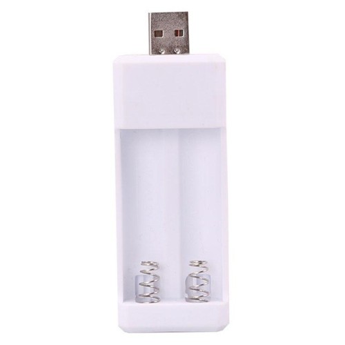 Caricabatterie ricaricabile USB AA / AAA a 2 slot inserito direttamente