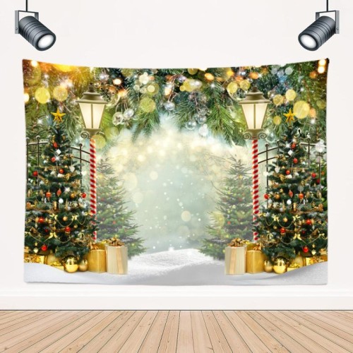 150 x 100 cm Pelle di pesca Natale Fotografia Sfondo Panno Decorazione della stanza delle feste, Stile: 10