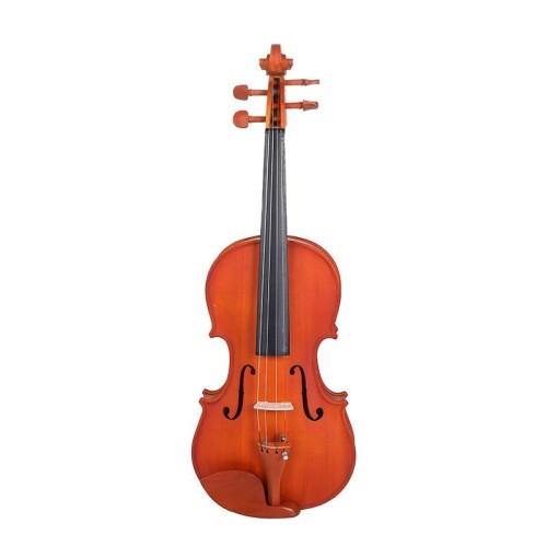 Violino per principianti in legno di acero colorato