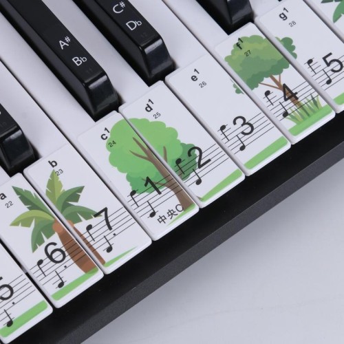 M52 88/76/61/54/49 Tasti tastiera per pianoforte (albero)