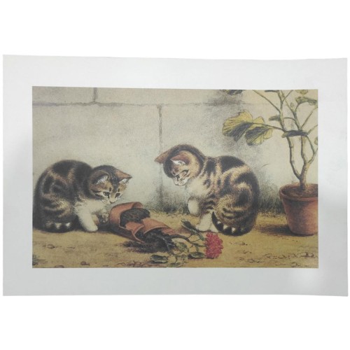 Stampa 35x25cm Gatti con vaso rotto