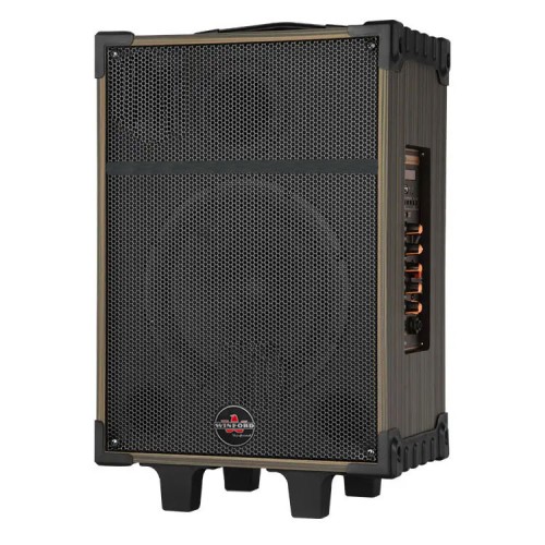 Cassa acustica portatile ricaricabile trolley 10" 80W Bluetooth/SD/USB