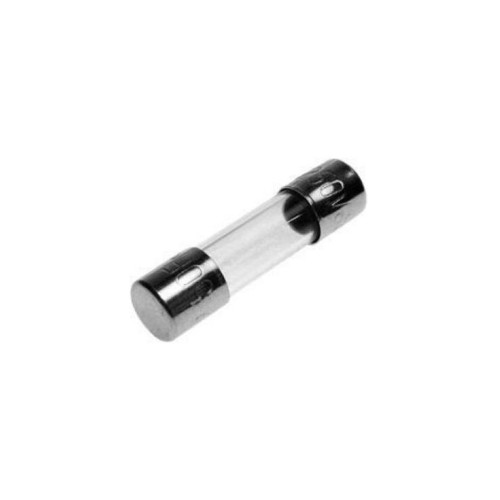 Fusibile ritardato 250V 5x20mm 1A confezione da 10
