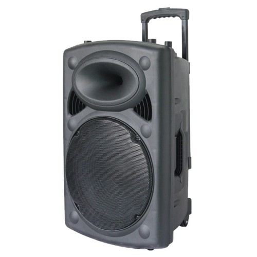 Cassa acustica amplificata 12” con microfono e telecomando Bluetooth/Radio FM